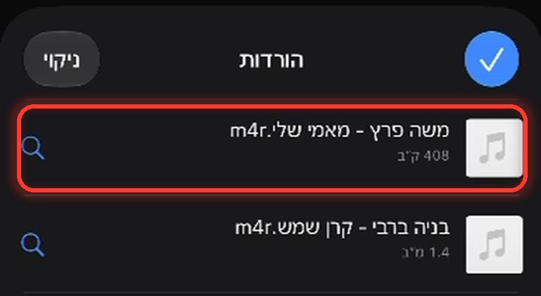 רשימת ההורדות של Safari. מסומן הצלצול שירד