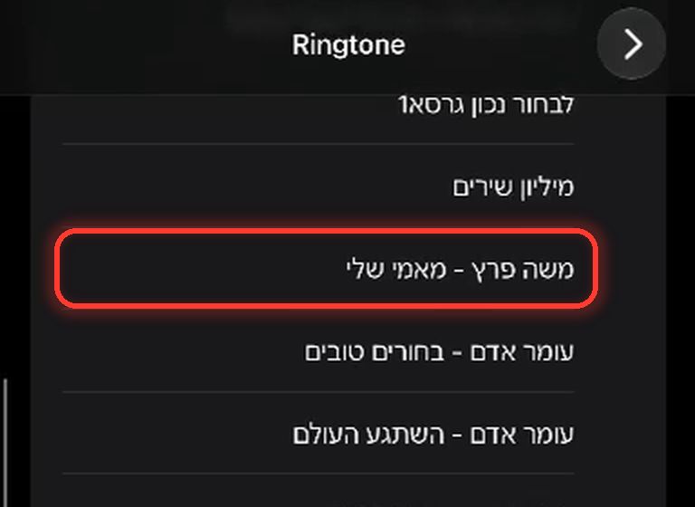 רשימת הצלצולים בהגדרות. מסומן הצלצול החדש